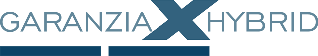 X-Hybrid